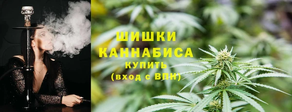 сатива Арсеньев