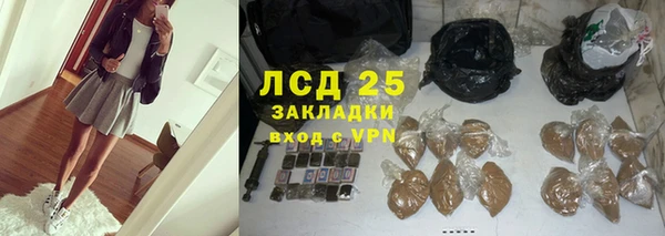 сатива Арсеньев