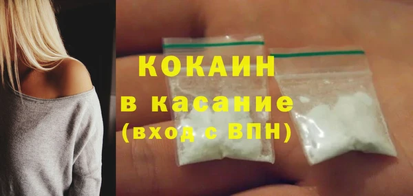 сатива Арсеньев