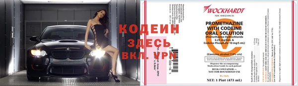 сатива Арсеньев