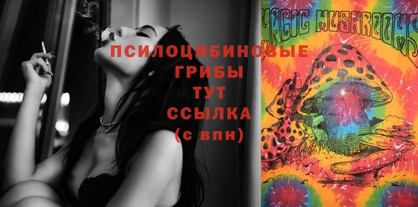 дурь Армянск
