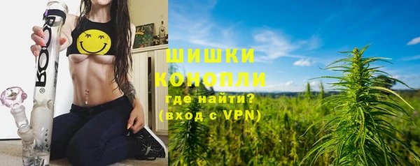 сатива Арсеньев