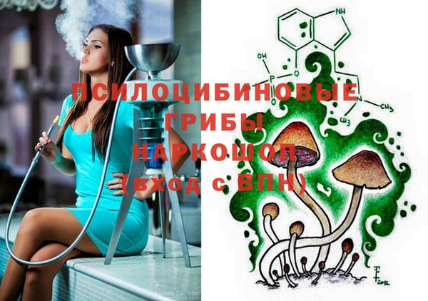 сатива Арсеньев