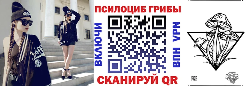 наркота  Томмот  Псилоцибиновые грибы мицелий 